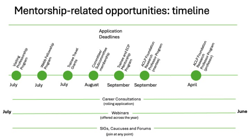 mentorship opportunities